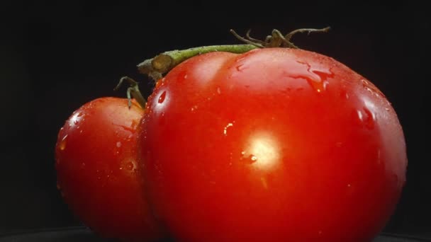Macrografie Een Rijpe Tomaat Staat Centraal Tegen Een Zwarte Achtergrond — Stockvideo