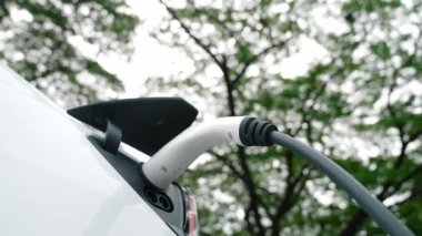 EV elektrikli araç EV şarj istasyonu ulusal park veya açık hava orman manzaralı. Çevre dostu EV arabalarla yaz ormanlarında doğal koruma. Yükselt