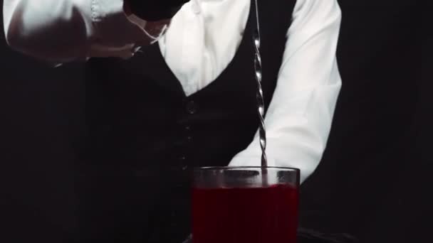 Macrography Observe Expertise Bartender Stir Rosemary Cranberry Martini Striking Black — Stock Video