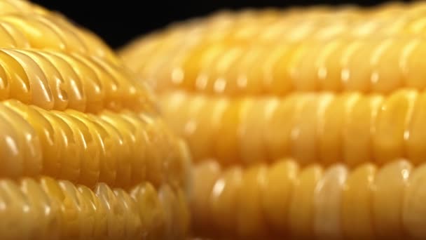 Крупный План Свежей Кукурузы Показывает Золотисто Жёлтое Ядро Чёрном Фоне — стоковое видео
