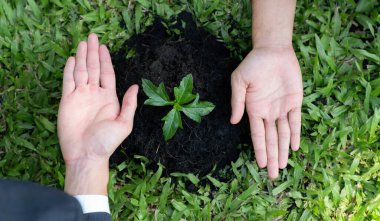 Üst düzey iş insanları grubu, gübrelenmiş toprak konsepti olan CSR şirketinin CSR kurumsal sosyal sorumluluk ilkesine bağlı olarak CO2 emisyonunu azaltarak birlikte büyür ve yetiştirir. Döngü
