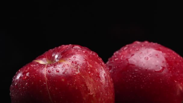 Шматочок Яблука Демонструє Свою Хрустку Білу Плоть Різко Спирається Суворий — стокове відео