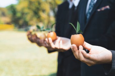 Bir grup iş adamı yumurta kabuğunu gübre tenceresine dönüştürüp, kurumsal yeniden ağaçlandırma projesinin bir parçası olarak filizlenme ve büyümeye olan bağlılığı sembolize ediyorlar. Döngü