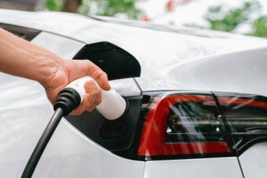 Yolculuk sırasında doğal orman ya da milli parktaki elektrikli araba için şarj olan bir adam. Tatil ve tatil boyunca çevre dostu seyahat. Yükselt