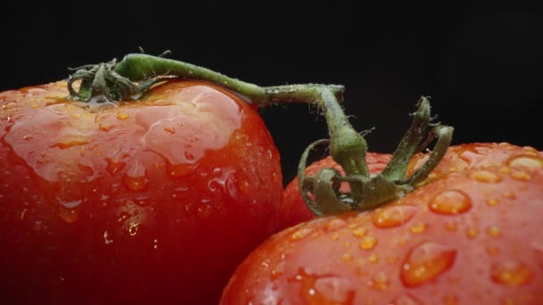 Macrografia Tomates Aninhados Dentro Uma Cesta Madeira Rústica São Exibidos — Vídeo de Stock
