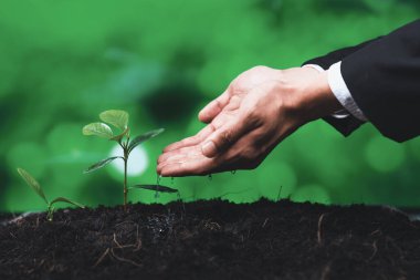 İşadamı, gübrelenmiş toprak konsepti üzerinde büyüyen ve yetiştiren eko şirketinin kurumsal sosyal sorumluluğunu üstlenen, CO2 emisyonunu azaltan ve sürdürülebilir gelecek için ESG ilkesini benimseyen bir iş adamı. Döngü