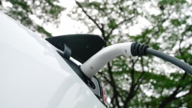 EV elektrikli araç EV şarj istasyonu ulusal park veya açık hava orman manzaralı. Çevre dostu EV arabalarla yaz ormanlarında doğal koruma. Yükselt