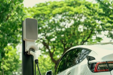 EV elektrikli araç EV şarj istasyonu ulusal park veya açık hava orman manzaralı. Çevre dostu EV arabalarla yaz ormanlarında doğal koruma. Yükselt
