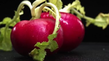 Dilimlenmiş taze turpun yakın çekimi siyah arka planda patlar. Canlı kırmızı et, karanlığa karşı bir işaret. Bu basit kompozisyon turpların eşsiz güzelliğini vurguluyor. Geliştirilebilir.