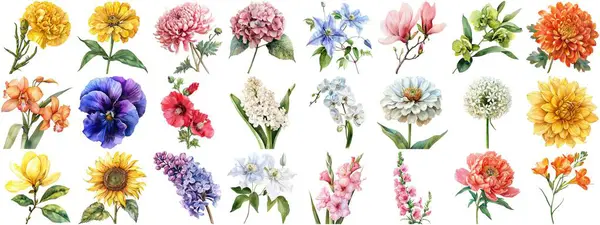 水彩の花は隔離された背景を置きました レトロフローラの結婚式やロマンチックなバレンタインカードのための自然花のクリップアートイラストエレメントの様々な花のコレクション クリスピーエッジカット — ストック写真