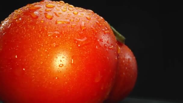 토마토인 매크로그래피는 검은색 배경에 단계를 시각적 대비를 만듭니다 클로즈업 토마토의 — 비디오