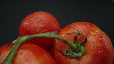Makrografi, ahşap bir sepete yerleştirilmiş domatesler dramatik bir siyah arka plana karşı sergileniyor. Her yakın çekim domateslerin zengin renklerini ve dokularını yakalar. Geliştirilebilir.