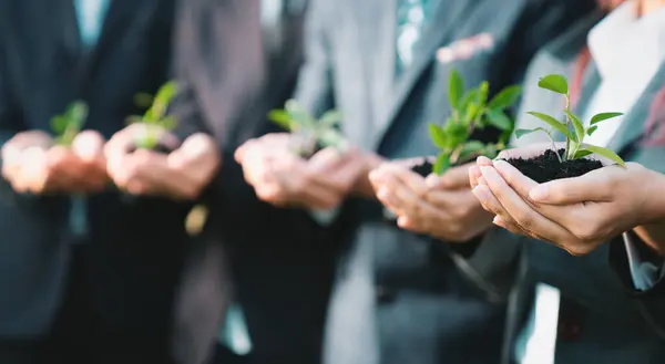 Business People Hold Plant Together Unity Teamwork Concept Eco Company — Stock Photo, Image