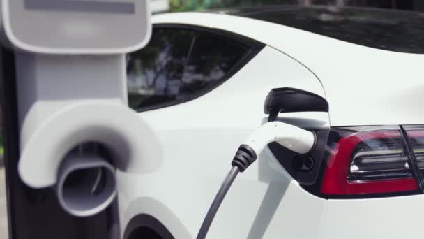 Повільний Рух Електричний Автомобіль Заряджається Зеленому Стійкому Міському Парку Відкритий — стокове відео