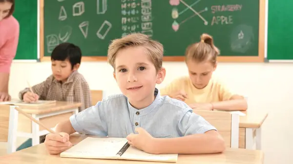 Attractive Caucasian Boy Looking Camera While Studying Math School Diverse — Stock Photo, Image
