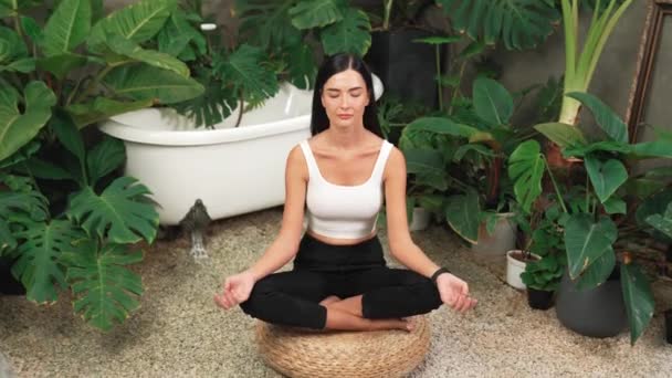 Sabah Yoga Meditasyon Yapan Genç Bir Kadın Bitki Yaprağıyla Doğal — Stok video