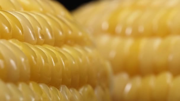 Крупный План Свежей Кукурузы Показывает Золотисто Жёлтое Ядро Чёрном Фоне — стоковое видео