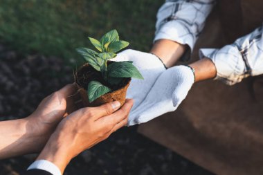 Eko-ticaret şirketi çiftçiye çevre dostu tarım uygulaması ve temiz tarım teknolojisiyle yetki veriyor. Büyümeleri ve gelişmeleri için sürdürülebilir bitkiler yetiştirmek. Döngü