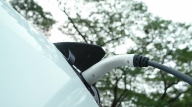 EV elektrikli araç EV şarj istasyonu ulusal park veya açık hava orman manzaralı. Çevre dostu EV arabalarla yaz ormanlarında doğal koruma. Yükselt