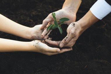 İşadamı, gübrelenmiş topraklarda küçük bir çocukla birlikte büyüyüp, büyüyen ve büyüyen bir bitki yetiştirerek sosyal sorumluluk sahibi bir çevre şirketi haline geldi, CO2 emisyonunu azalttı ve sürdürülebilir bir gelecek için ESG prensibini benimsedi. Gyre