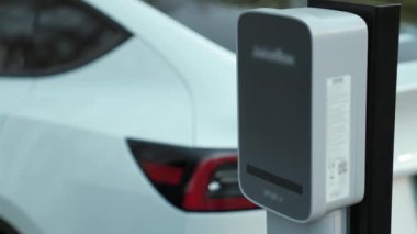 Yolculuk sırasında doğal orman ya da milli parktaki elektrikli araba için şarj olan bir adam. Tatil ve tatil boyunca çevre dostu seyahat. Yükselt