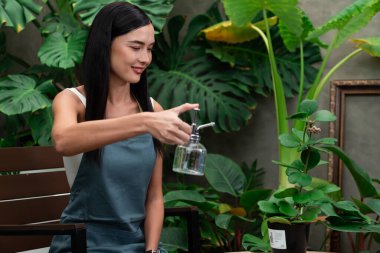 Genç kadın bahçıvan, minimalist mimari beton tarzında tropikal bitkilerle ilgileniyor ve onları suluyor. Yaz mevsiminde egzotik bitki yetiştirme bahçeleri, çevreci yaşam tarzları için bahçeler. Blithe