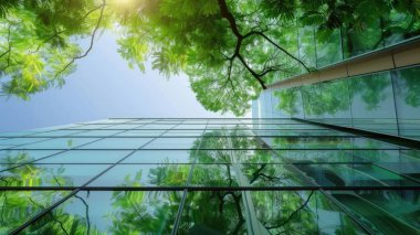 Cam ya da ayna yapısı, ağaç gibi zıt yöndeki her şeyi yansıtıyor. Bina bir sürü yeşil ağaçla çevrili. Ayna, güneşten gelen ışığı yansıtıyor. AIG43.