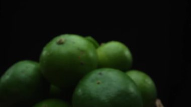 Limon dilimleri titizlikle bir yığın halinde, siyah arkaplana göre dizilmiş. Her bir kireç dilimi çarpıcı detaylar, canlı yeşil rengi ve baştan çıkarıcı dokusu ile yakalanır. Kapatın. Geliştirilebilir.