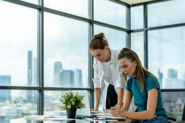 Profesyonel iş kadını, mali planı istatistiksel belge kullanarak tartışır. Modern ofiste beyin fırtınası yapan ve fikir paylaşan bir grup iş adamı. Birlikte çalışmak ve iş yapmak. İzleme.