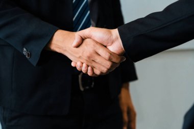 İş adamları konsepti kabul ediyor. İş adamı toplantı odasında başka bir iş adamıyla tokalaşıyor. uds