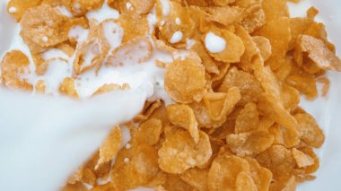 İçine süt dökülen beyaz bir kase mısır gevreğini kapatın. Beyaz sütün makrografisi sarı mısır gevreği ve izole edilmiş beyaz arka planda süt sıçratarak kaseye akıyor. Pabulum.