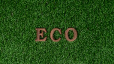 Daha yeşil ve sürdürülebilir bir gelecek için çevre korumasını desteklemek amacıyla biyofili yeşil çimen arka planı üzerine ECO bilinçlendirme kampanyası dizaynında sıralanmış tahta alfabe. Döngü
