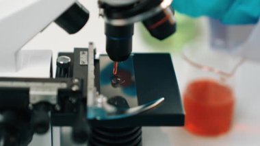 Bilimsel laboratuar araştırmacısı mikroskobik slayta kan örneği bırakır. Tıbbi muayene için ya da yeni teşhis aleti için. Mikrobiyolog, tıp çalışanı laboratuarda deney yapıyor. Ağır çekim. Katı.