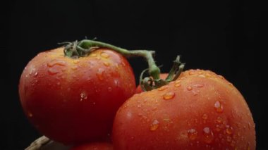 Makrografi, ahşap bir sepete yerleştirilmiş domatesler dramatik bir siyah arka plana karşı sergileniyor. Her yakın çekim domateslerin zengin renklerini ve dokularını yakalar. Geliştirilebilir.