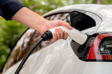 Sonbahar gezisi sırasında sonbahar ormanı arabasında elektrikli araba için şarj eden bir adam. Sonbahar tatilinde elektrikli araçla çevre dostu bir seyahat. Yükselt