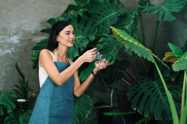 Genç kadın bahçıvan, minimalist mimari beton tarzında tropikal bitkilerle ilgileniyor ve onları suluyor. Yaz mevsiminde egzotik bitki yetiştirme bahçeleri, çevreci yaşam tarzları için bahçeler. Blithe