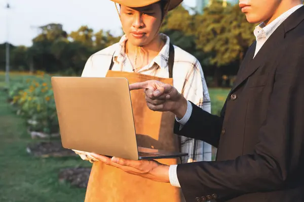 stock image Eco-business company empower farmer with eco-friendly farming practice and clean agricultural technology. Cultivate sustainable farming methods as commitment to environment for greener future.Gyre