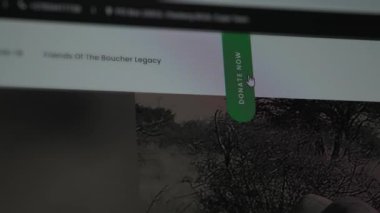 Toplumun bağış etkinliği için bağış düğmesine tıklayın. Sevilen insanları desteklemek ya da internetteki projeleri desteklemek için arayüz bağışlıyorum. Kullanım için çevrimiçi teknoloji kavramı. Webography.