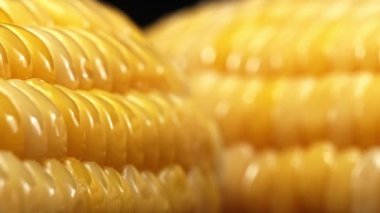 Taze mısırın yakından bakıldığında siyah arkaplanı olan altın sarısı bir çekirdek görülüyor. Bu tombul ve besin değeri yüksek mücevher, tatlı ve tereyağlı olduğunu ima eden parlak bir parıltıya sahip. Geliştirilebilir.