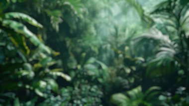 Yoğun yeşil bir tropikal ormanın sisi ve yapraklarından süzülen beyaz güneş ışığının bulanık arkaplanı. Sihirli ve ruhani doğa sahnesi. Tecrübe için gerçekçi bir 3D canlandırma. Poster tasarımı. Aktar.