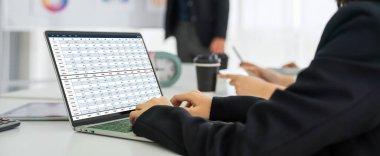 Bilgisayar ekranındaki muhasebe yazılımı finansal hesap tablolarını ve kurumsal iş dengelerini gösteriyor. Muhasebeciye iyi bir muhasebe sunuyor.