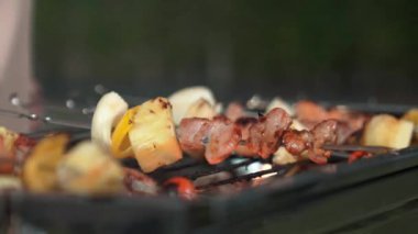 Grilled food of family celebration anniversary. Family have dinner party in garden. Outdoor camping activity relax with tasty food and spend time with cute relatives cross generation gap. Divergence.