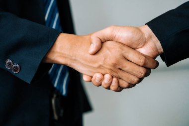 İş adamları konsepti kabul ediyor. İş adamı toplantı odasında başka bir iş adamıyla tokalaşıyor. uds