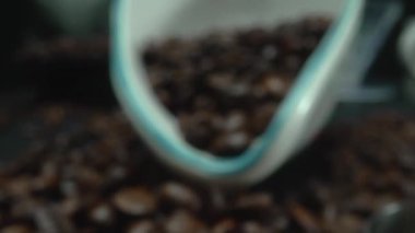 Makro kahve çekirdekleri kamerayla kaşığa saçılıyor. Beyaz kaşık kepçesiyle kahverengi kahve çekirdeklerini kapayın ve siyah arkaplanla dağılın. Kafein enerji içeceği konsepti. Pabulum.