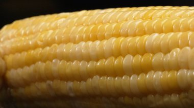 Taze mısırın yakından bakıldığında siyah arkaplanı olan altın sarısı bir çekirdek görülüyor. Bu tombul ve besin değeri yüksek mücevher, tatlı ve tereyağlı olduğunu ima eden parlak bir parıltıya sahip. Geliştirilebilir.