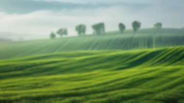 Güneşin bulanık arkaplanı yeşil tarlalı ağaçlara rağmen parlıyor. Dramatik ışıklandırmalı manzara fotoğrafçılığı. Doğal güzellik ve sükunet kavramı. Meditasyon geri çekilme reklamı için tasarım. Aktar.