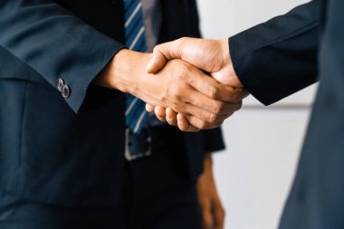 İş adamları konsepti kabul ediyor. İş adamı toplantı odasında başka bir iş adamıyla tokalaşıyor. uds