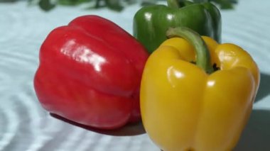 Kırmızı, yeşil ve sarı dolmalık biberler mavi desenli arka planda. Çan biberlerini su dalgası ve yeşil yapraklarla kapatın. Doğal ışık stüdyosu. Sağlıklı beslenme ve yeme konsepti. Pabulum.