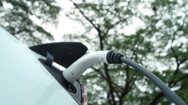 EV elektrikli araç EV şarj istasyonu ulusal park veya açık hava orman manzaralı. Çevre dostu EV arabalarla yaz ormanlarında doğal koruma. Yükselt