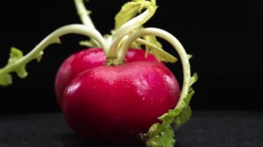 Dilimlenmiş taze turpun yakın çekimi siyah arka planda patlar. Canlı kırmızı et, karanlığa karşı bir işaret. Bu basit kompozisyon turpların eşsiz güzelliğini vurguluyor. Geliştirilebilir.